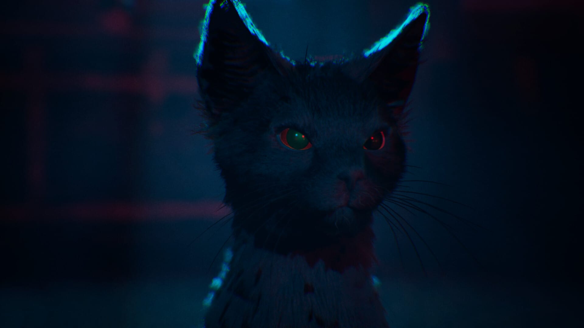 Bateratze Cat Companion